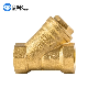 China Factory Non Return One Way Thread Connection Brass Y Type Filter