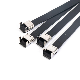 Cable Tie Stainless Steel with PVC Coating Ss201 SS304, SS316 Clamp