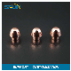 Electrical Copper Solid Contact Rivet for Switch Silver Brass Bimeta Contact Rivet