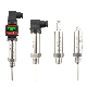  Customizable Temperature Transmitter Oil Temperature Sensor PT100 Thermal Resistance Input