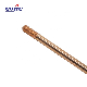  Hot Sale Earthing Copper Ground Rod for Surge Arrester