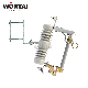  Wortai High Quality Ddlo Porcelain Fuse Cutout Switch with Rating 11kv - 36kv 100A 200A and 300A Blade