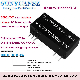  6000VDC High Isolation 1-5W Wide Voltage Input Range and 50VDC-500VDC Output Voltage DC Boost Power Module