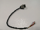  Hirose Gt17 Cable Assembly 10 Pin Right Angled to Jst Phr-8 Custom Automotive Harness Made in China