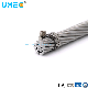  Electrical Cable ASTM IEC GB DIN Standard Electrical Overhead Transmission Low Voltage Aluminum Conductor AAC AAAC Aacsr ACSR Acar ACSR/Aw Electric Cable Wire