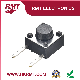  Tact Switch Push Button Switch 2 Pin DIP (TS-1109V)
