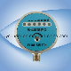 Thermal Flow Switch with High Reliability for Measure Water or Liquid Flow