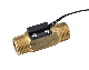 Mr-2260 Brass Liquid Flow Sensor/Magnetic Flow Switch
