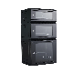 19"Inch SPCC China Manufacturer Wall Mount Server Network Rack Cabinet 4u 6u 9u 12u 15u