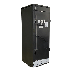  Chinese EMI-Shielded Grade C Cabinet IP55 Protection