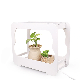  Indoor Mini Grow LED Kit Table Lights for Home Garden