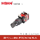 China Hban La38-11 Push Button Waterproof IP65 1no1nc High Current 10A Lock Key Switches