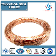  China Supplier Good Price Customized Qal9-4 Qal9-2 Qal10-3 C27000 C26200 C26000 C36000 C3604 C3602 C3603 Copper Wire with High Quality