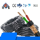  Shenguan Low Voltage 300V 500V 450/750V 600V Control Cable PVC/ 2.5mm2 X 12 Cores Control Cable Electrical Cable Electric Cable Wire Cable From China Factroy