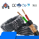 Shenguan Low Voltage 300V 500V 450/750V 600V Control Cable PVC/ 2.5mm2 X 12 Cores Control Cable Electrical Cable Electric Cable Wire Cable From China Factroy