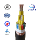 0.75/1/1.5/2.5/4/6/10mm Copper Wire XLPE Insulated Braid Screened Control Cable 2core - 61core (Customizable)