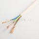 Electrical/Electric PVC NBR HDPE Insulation Copper CCA Conductor 450/750V Flexible Cable