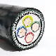  Low Voltage Multi Cores Cu/XLPE/PVC/Swa/PVC Power Cord Electrical Wire