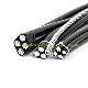  Overhead Insulated 1kv, 10kv Single Covered PVC/XLPE Insulated Cables Aluminum Conductors ABC Cable