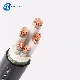 U-1000 R2V/ Xv/ RV Cable PVC-Fr (Polyvinyl Chloride Flame Retardant)