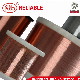 ASTM B Standard Bimetal Copper Clad Steel CCS Wire for CATV Cable and Telephone Drop Wire