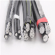  0.6/1kv Aluminum Core XLPE Insulated Aerial Bundled Cable