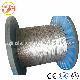 Overhead Bare Electric Cable ACSR Steel Reinforced Aluminum AAC AAAC Conductor