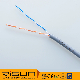 2pr UTP Cat5e 305m Twisted Pair LAN Cable Network Cable manufacturer