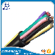  Copper Conductor PVC Insulated Flexible Cable (2X10.0mm2 2X6.0mm2)