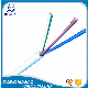  Copper Conductor PVC Insulation Rvv Flexible Wire (2X2.5mm2 2X4.0mm2 2X6.0mm2)