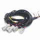  OEM /ODM Manufacturer Wire Harnesses and Cable Assembly