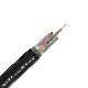 XLPE Insulated Electrical Cable Nh-Yjv22 Nh-Yjv Power Cable