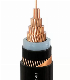  Single Core XLPE Insulated Power Cable Copper Conductor with The Metal Screen