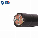 Armoured Electrical Cable Ht 3 Phase Distribution Copper Underground Power Cable