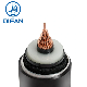  Cu/XLPE/CAS/PVC 66kv 110kv 132kv 220kv XLPE Insulated Underground Power Cable