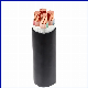  High Quality XLPE Insulated PVC Sheathed Copper or Aluminum Electric Cable