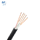 2 Cores to 5 Cores 0.6/1kv Copper PVC or XLPE Electrical Cable 5X4 mm (4mm to 500 mm)
