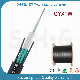  Factory Price 2/4/6/8/12/24 Cores Uni-Tube Duct Outdoor GYXTW Fiber Optic Cable
