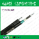 Fiber Optic Cable Gyxtc8s/GYTY53/GYTA53/GYTS/ADSS Optical Fiber Cable