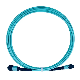 High Quality MPO MTP Om3 Om4 Om5 Fiber Optic Patch Cord manufacturer