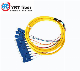 12 Cores Bundle Pigtail Sc/Upc Outdoor Armored Fiber Optic Patch Cord FTTH