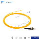 Manufacturer Single Mode Simplex FC/Upc 0.9mm Fiber Optic Pigtail manufacturer