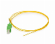  Sc/APC Singlemode Simplex Fiber Optic Pigtail