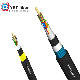 Stranded Fiber Optic Cable with Self-Support and Armored Protection ADSS/Gyfta53