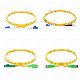 Sc FC LC St 2.0mm 3.0mm Single Mode Fiber Optic Patchcord