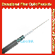 2-48cores GYXTW Optical Fiber Cable, Outdoor Duct and Aerial Fiber Cable manufacturer