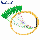  Quality Assurance Sc APC Upc 12 Fibers Bunch Pigtail for Telcom and Datacom Application