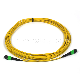 Ofnp 4/8/12/24/48/72/144/288 Cores Optical Fiber Cable MPO Trunk Cable Fiber Optic Patch Cord