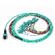 8 12 24 Cores MPO to LC Multimode LSZH Fanout Breakout Optical Fiber Patchcord Patch Cable