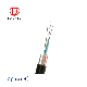24 F Outdoor Aerial Fiber Optic Cable with Steel Wire